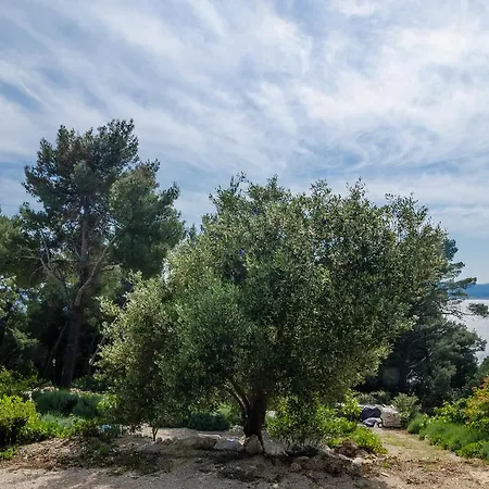 Mokalo Апартаменты Оребич